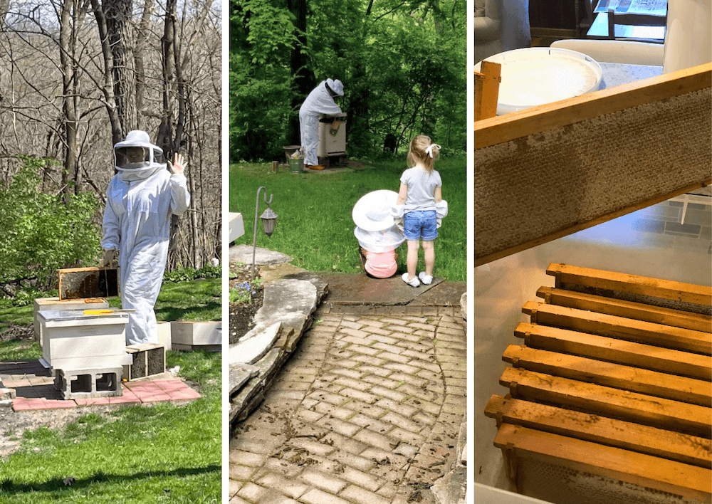 Miranda Reinhardt and daughter working together as beekeepers