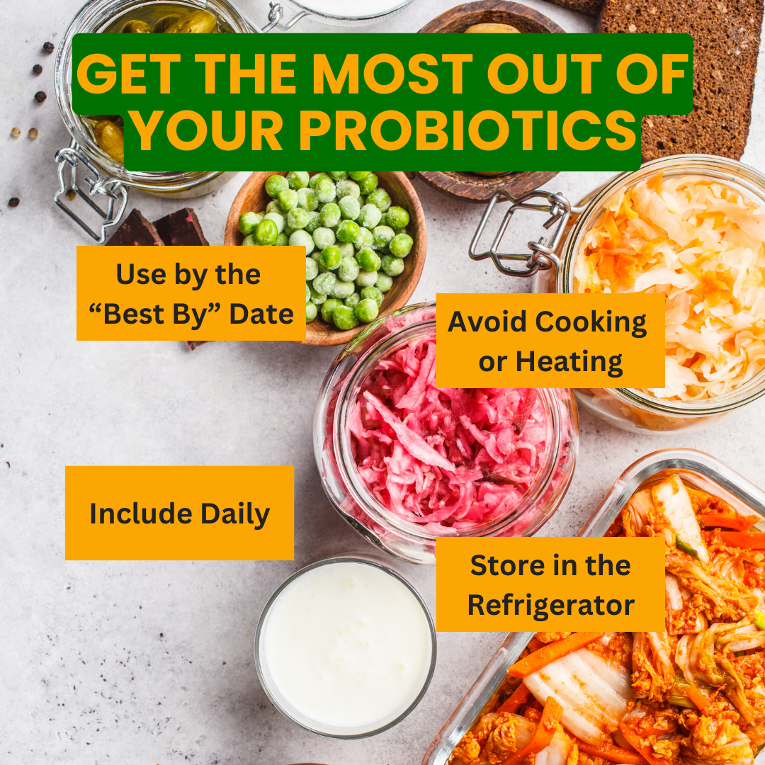 Probiotic Rich Foods to Boost Your Health